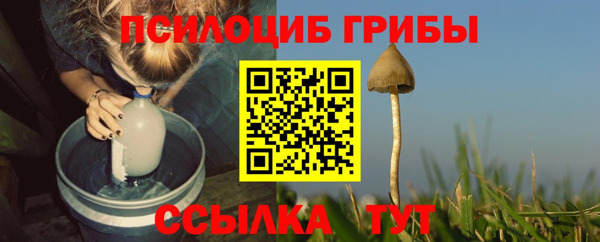 Галлюциногенные грибы мухоморы  купить наркотик  Донской  Вход с VPN  Псилоцибиновые грибы Psilocybine cubensis 